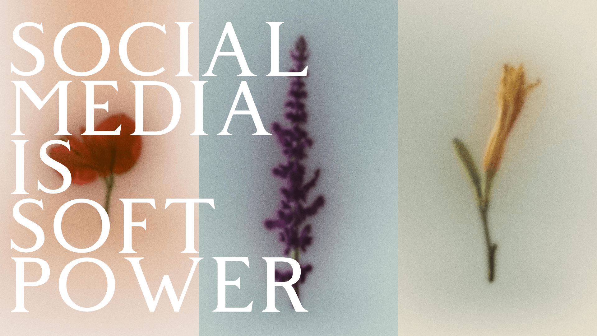Social media e soft power